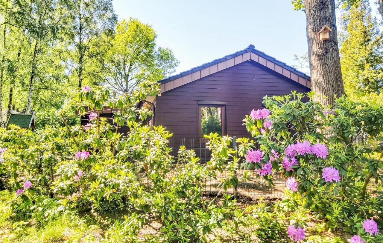 Pet Friendly Home In Haren With Sauna Dankern Exterior foto